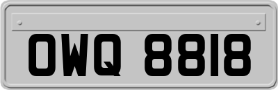 OWQ8818