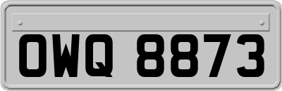 OWQ8873