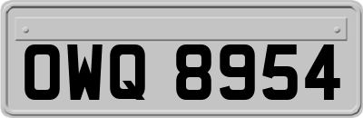 OWQ8954