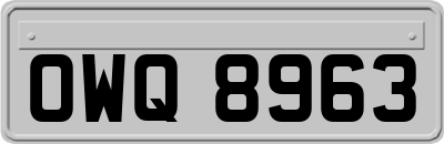 OWQ8963
