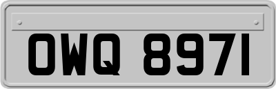 OWQ8971