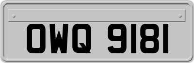 OWQ9181
