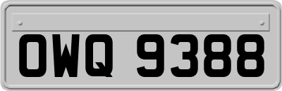 OWQ9388