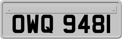 OWQ9481