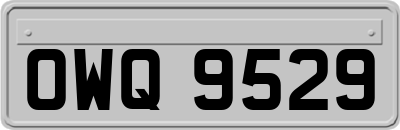 OWQ9529