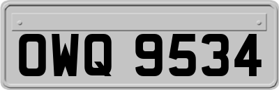 OWQ9534