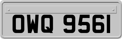 OWQ9561