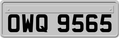 OWQ9565