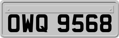 OWQ9568
