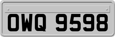 OWQ9598