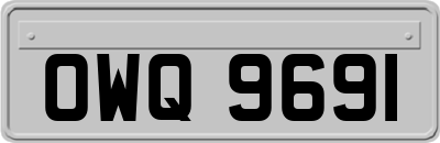 OWQ9691