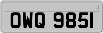 OWQ9851