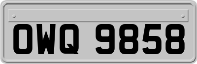 OWQ9858