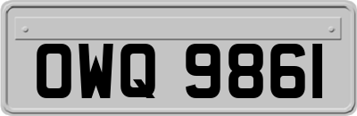 OWQ9861