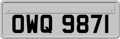 OWQ9871