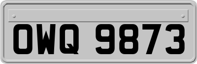 OWQ9873