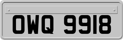 OWQ9918