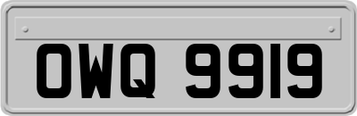 OWQ9919