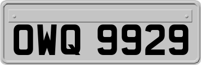 OWQ9929