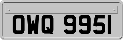 OWQ9951