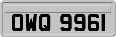 OWQ9961
