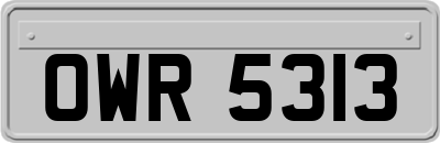 OWR5313