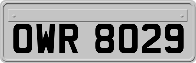 OWR8029