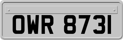 OWR8731