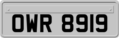 OWR8919