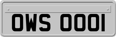 OWS0001