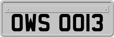 OWS0013
