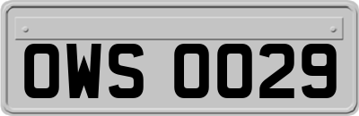 OWS0029