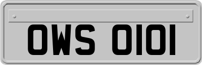 OWS0101