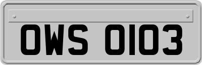 OWS0103