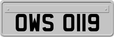 OWS0119
