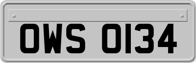 OWS0134