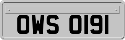 OWS0191