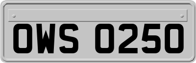 OWS0250