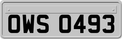 OWS0493