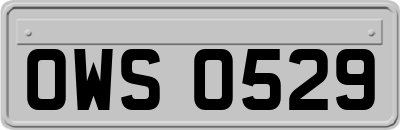 OWS0529