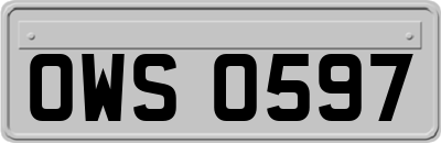 OWS0597