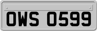 OWS0599