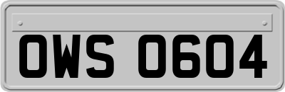 OWS0604