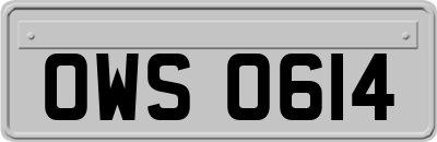 OWS0614