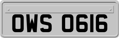 OWS0616