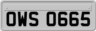 OWS0665