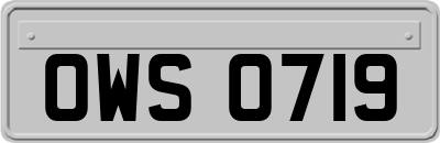 OWS0719