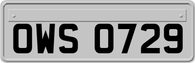 OWS0729