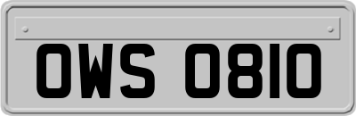 OWS0810