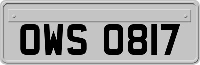 OWS0817